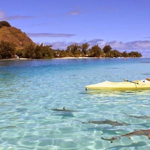 Meet your Posher, Soledad